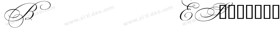 Beautiful ES_0字体转换
